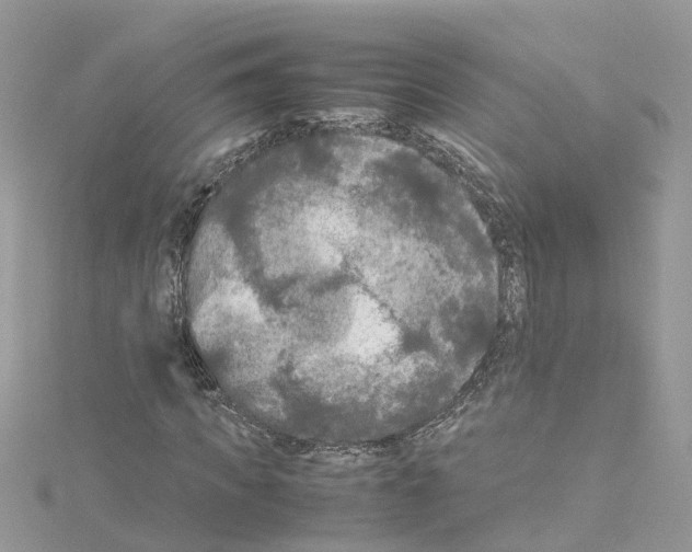 X0000114090917200911161034