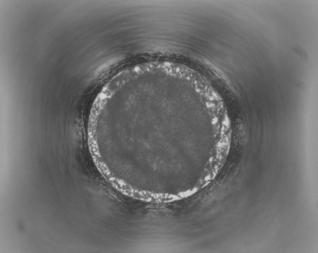 X0000114090918200911161034