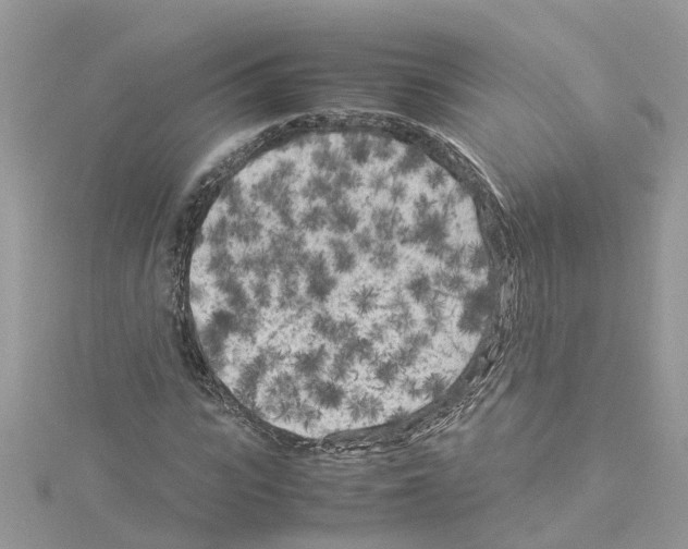 X0000114090919200911161034