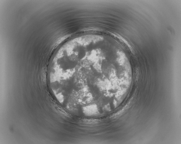 X0000114090921200911161034