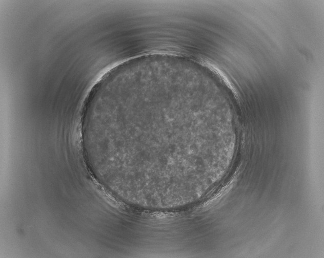 X0000114090923200911161034