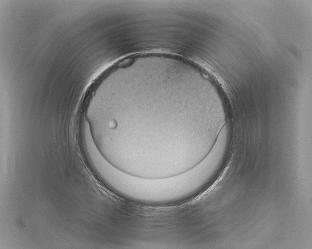 X0000114090925200911161034