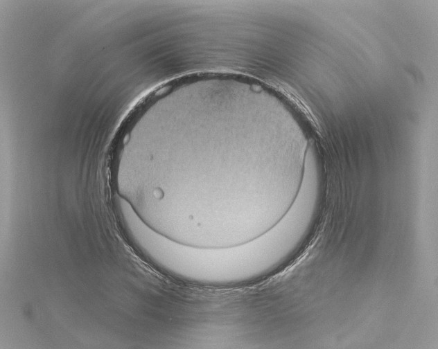 X0000114090926200911161034