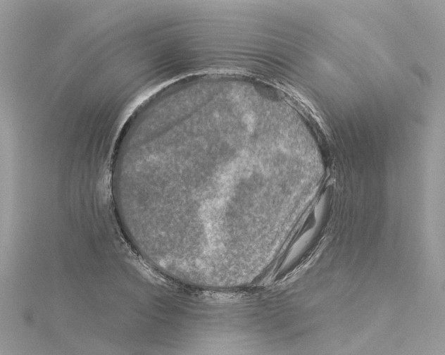 X0000114090928200911161034