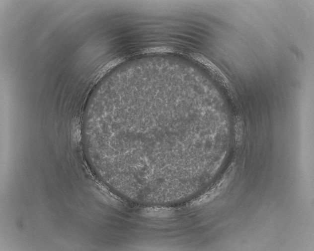 X0000114090929200911161034