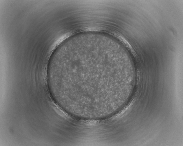 X0000114090930200911161034