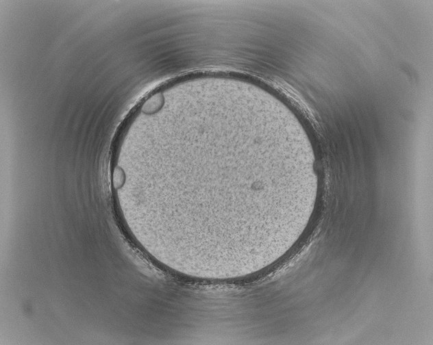 X0000114090934200911161034