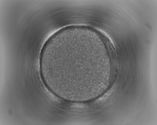 X0000114090935200911161034