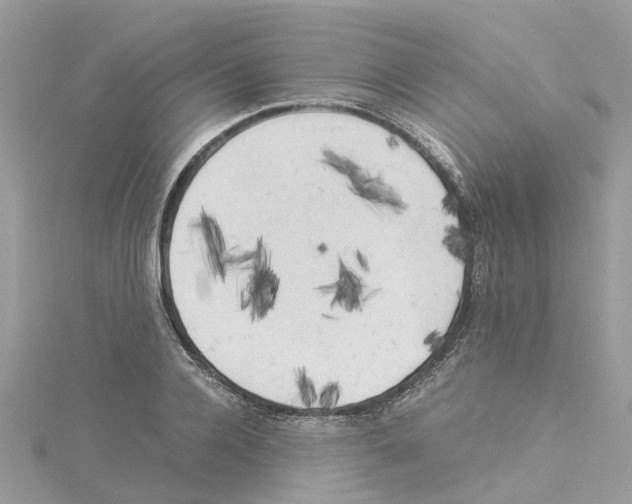 X0000114090936200911161034