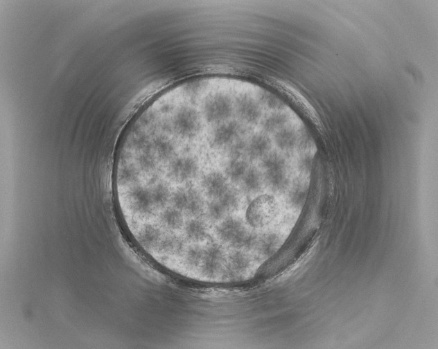 X0000114090938200911161034