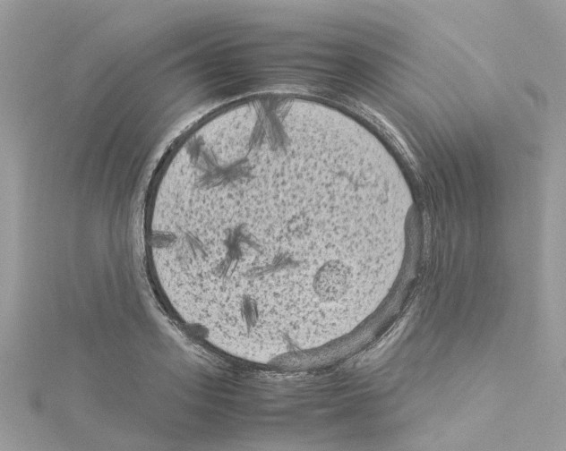 X0000114090939200911161034