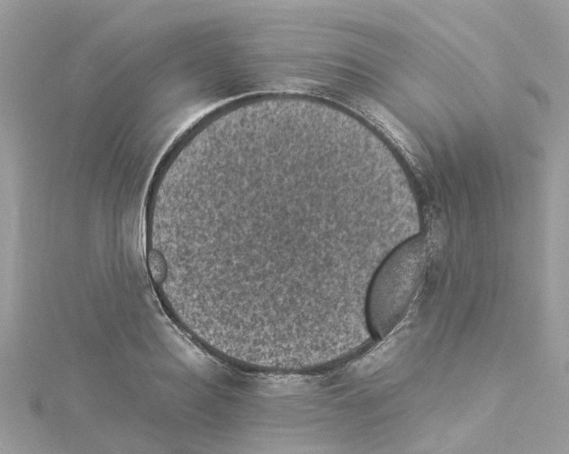 X0000114090940200911161034