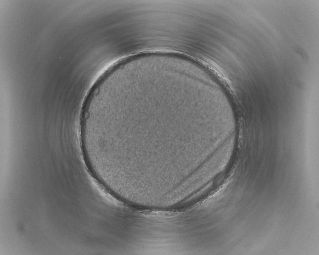 X0000114090942200911161034