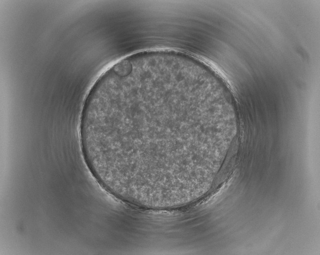 X0000114090943200911161034