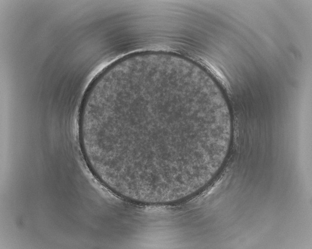 X0000114090944200911161034