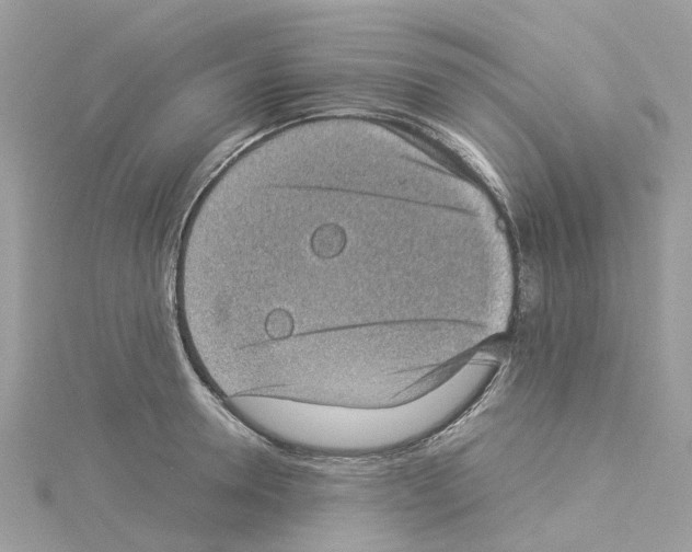 X0000114090946200911161034