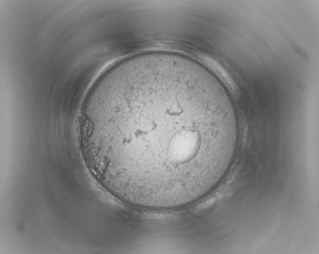 X0000114090950200911161034