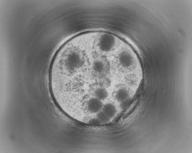 X0000114090951200911161034