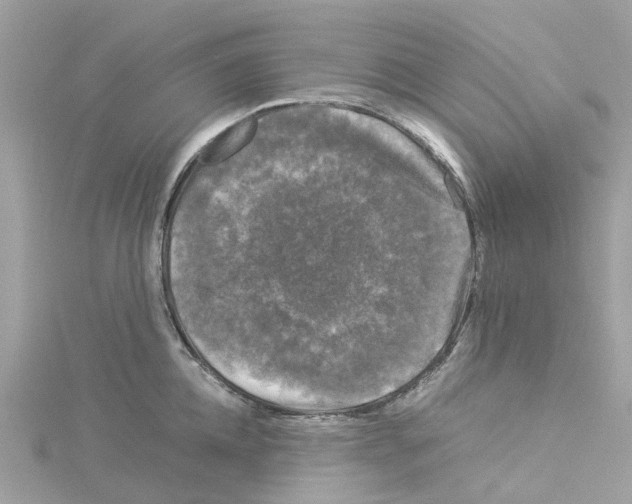 X0000114090952200911161034