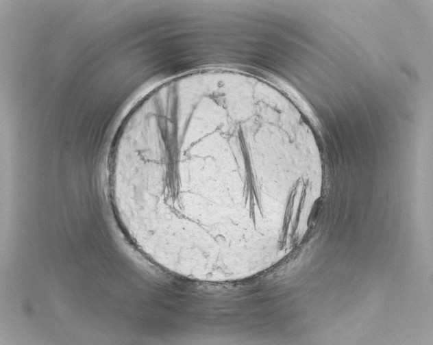 X0000114090955200911161034