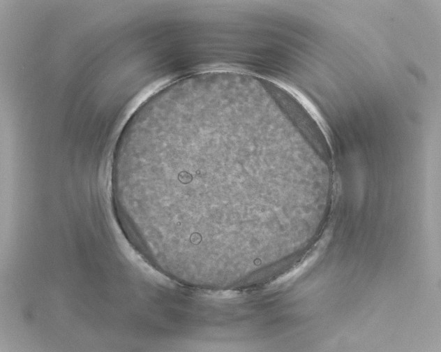 X0000114090957200911161034