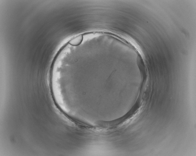 X0000114090958200911161034