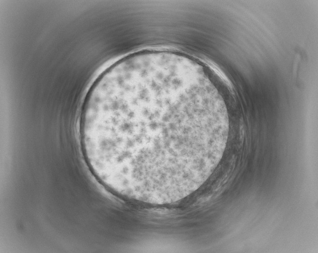 X0000114090959200911161034