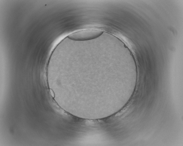 X0000114090960200911161034