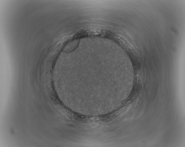 X0000114090961200911161034