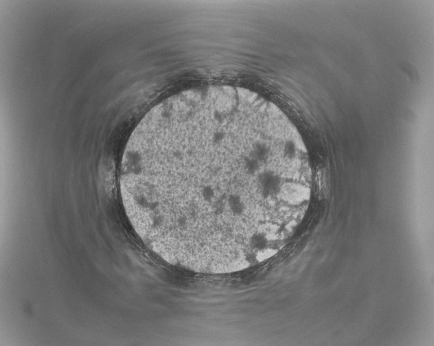 X0000114090963200911161034