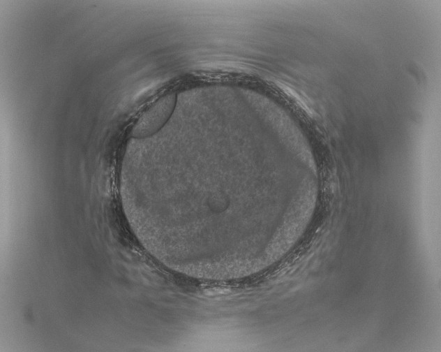 X0000114090965200911161034