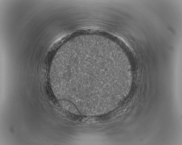 X0000114090967200911161033