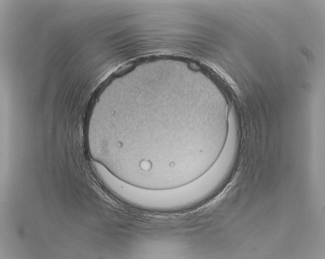 X0000114090969200911161033