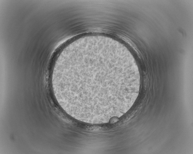 X0000114090971200911161033