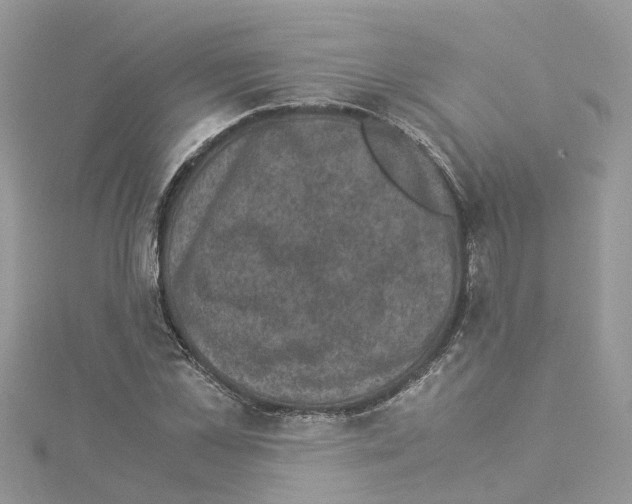 X0000114090973200911161033