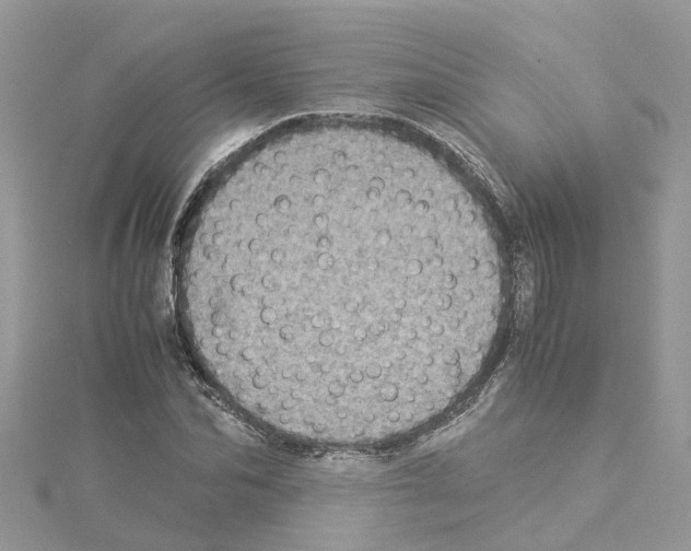 X0000114090974200911161033