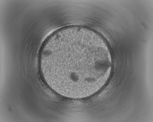 X0000114090975200911161033