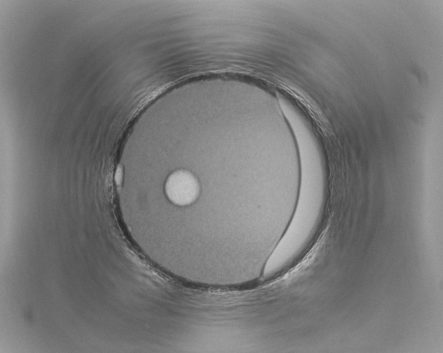 X0000114090977200911161033