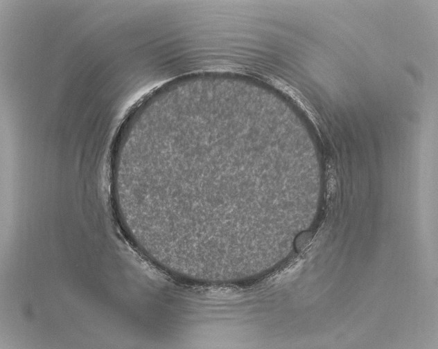 X0000114090979200911161033