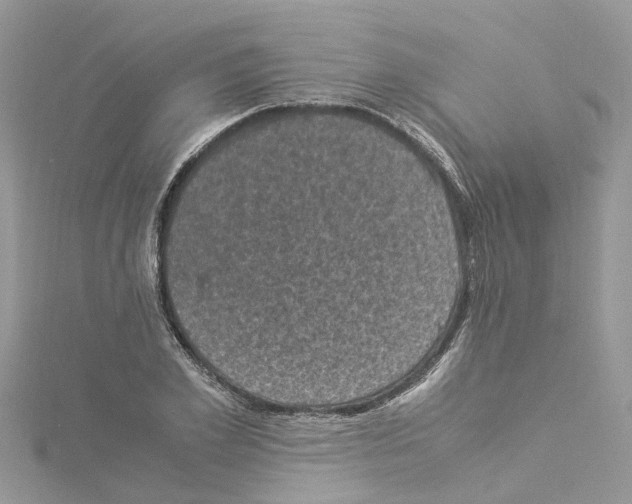 X0000114090981200911161033