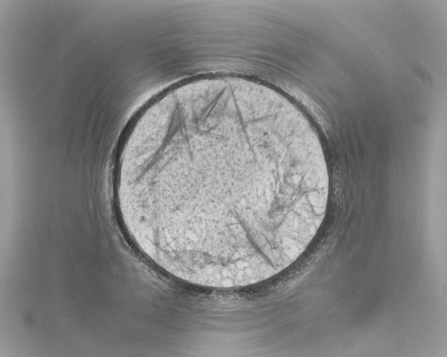 X0000114090983200911161033