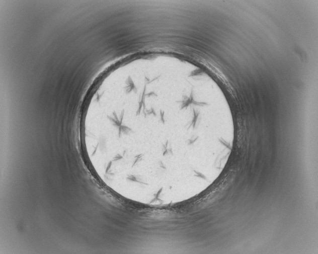 X0000114090984200911161033