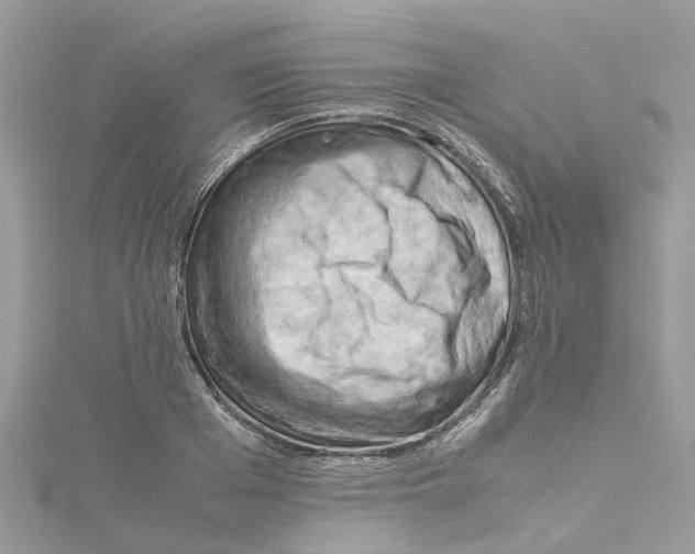 X0000114090985200911161033