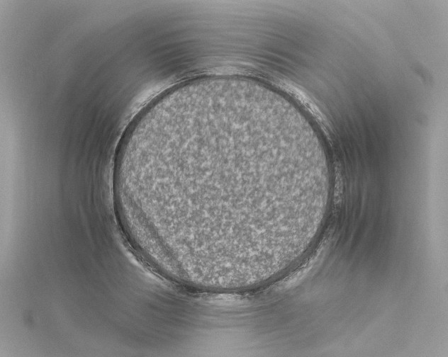 X0000114090986200911161033