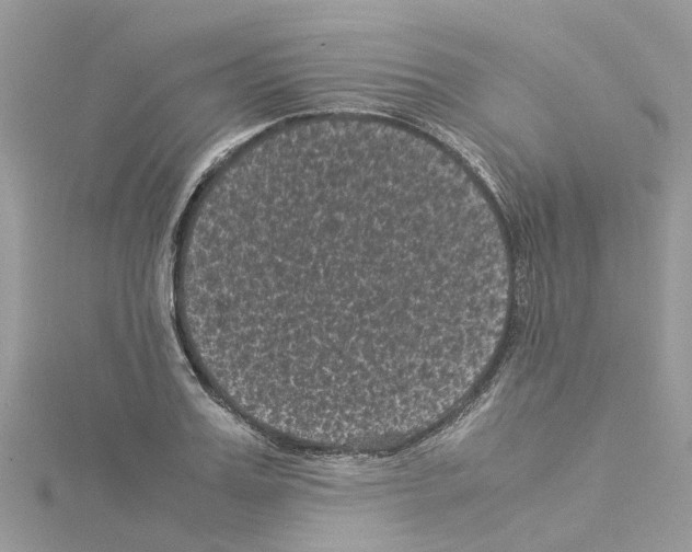 X0000114090987200911161033