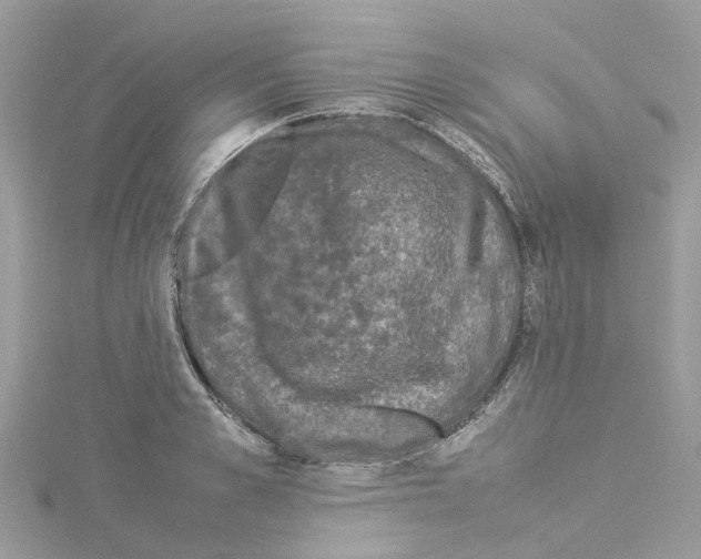 X0000114090989200911161033