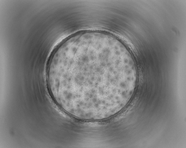 X0000114090990200911161033