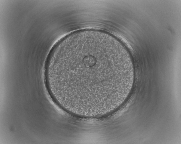 X0000114090991200911161033