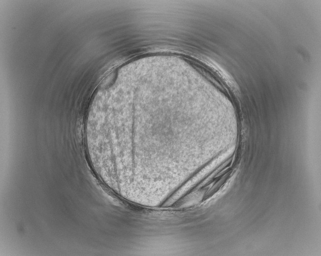 X0000114090993200911161033