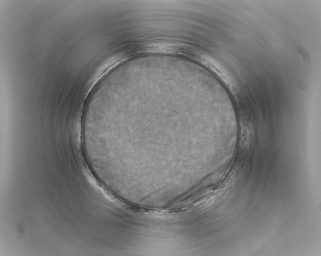 X0000114090994200911161033